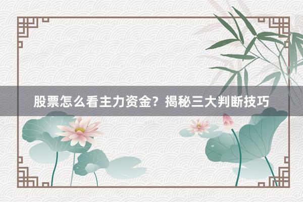 股票怎么看主力资金？揭秘三大判断技巧