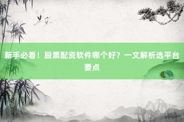 新手必看！股票配资软件哪个好？一文解析选平台要点