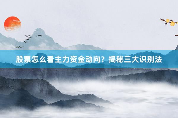股票怎么看主力资金动向？揭秘三大识别法