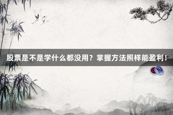 股票是不是学什么都没用？掌握方法照样能盈利！