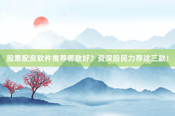 股票配资软件推荐哪款好？资深股民力荐这三款！