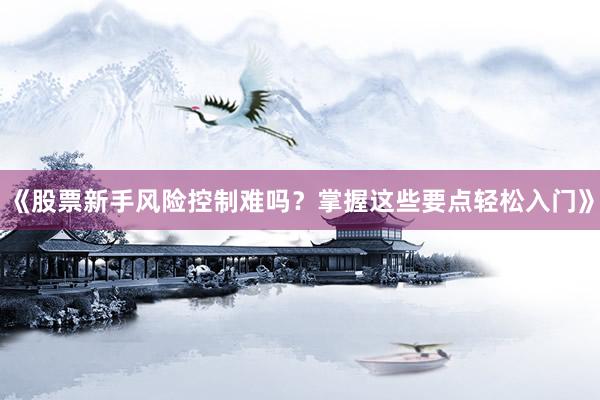 《股票新手风险控制难吗？掌握这些要点轻松入门》