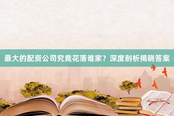 最大的配资公司究竟花落谁家？深度剖析揭晓答案