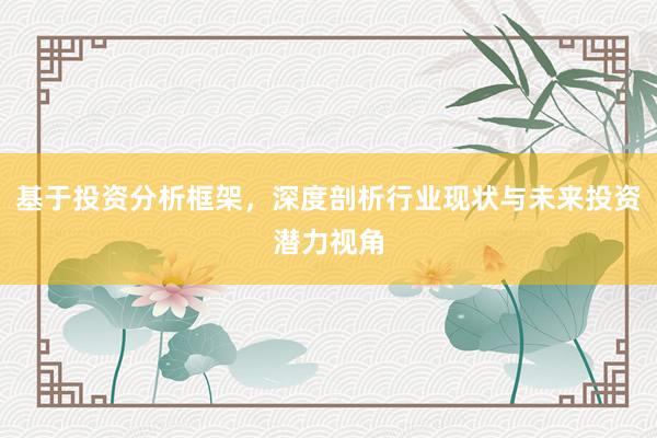 基于投资分析框架，深度剖析行业现状与未来投资潜力视角