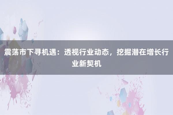 震荡市下寻机遇：透视行业动态，挖掘潜在增长行业新契机