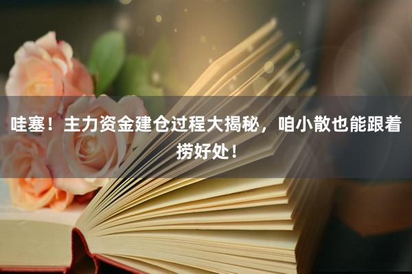 哇塞！主力资金建仓过程大揭秘，咱小散也能跟着捞好处！