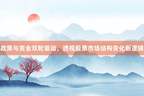 政策与资金双轮驱动，透视股票市场结构变化新逻辑