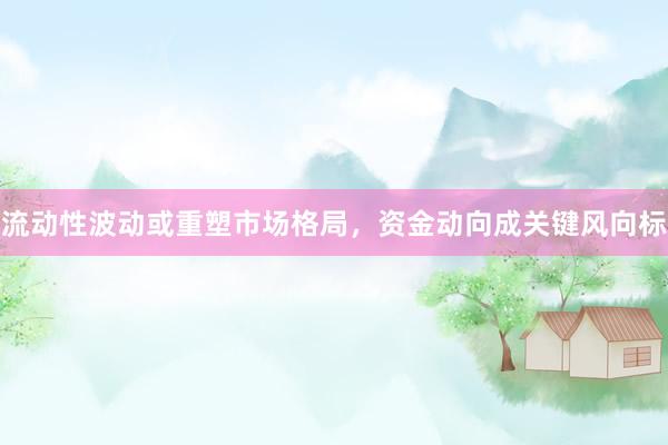 流动性波动或重塑市场格局，资金动向成关键风向标