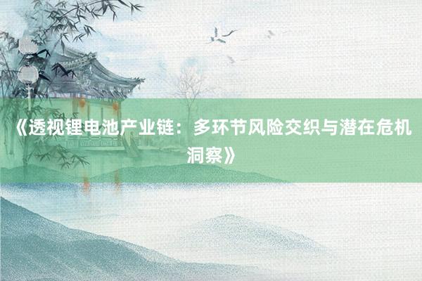 《透视锂电池产业链：多环节风险交织与潜在危机洞察》