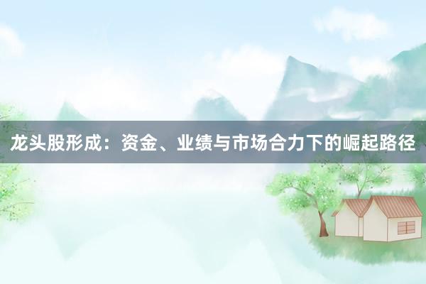 龙头股形成：资金、业绩与市场合力下的崛起路径