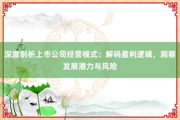深度剖析上市公司经营模式：解码盈利逻辑，洞察发展潜力与风险