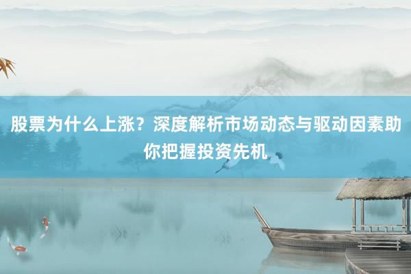 股票为什么上涨？深度解析市场动态与驱动因素助你把握投资先机
