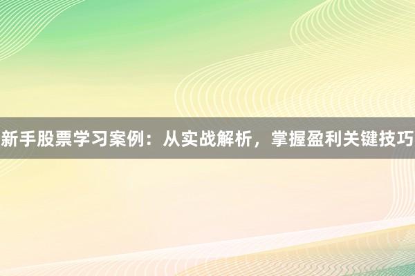 新手股票学习案例：从实战解析，掌握盈利关键技巧