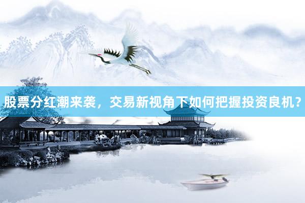 股票分红潮来袭，交易新视角下如何把握投资良机？