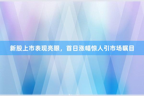 新股上市表现亮眼,首日涨幅惊人引市场瞩目